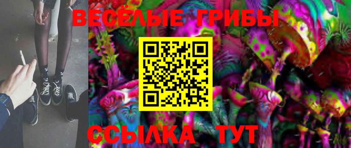 Псилоцибиновые грибы прущие грибы Отрадный