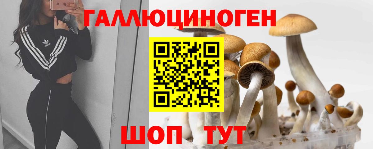 Отрадный  Галлюциногенные грибы мухоморы  Вход с VPN  Псилоцибиновые грибы Cubensis 